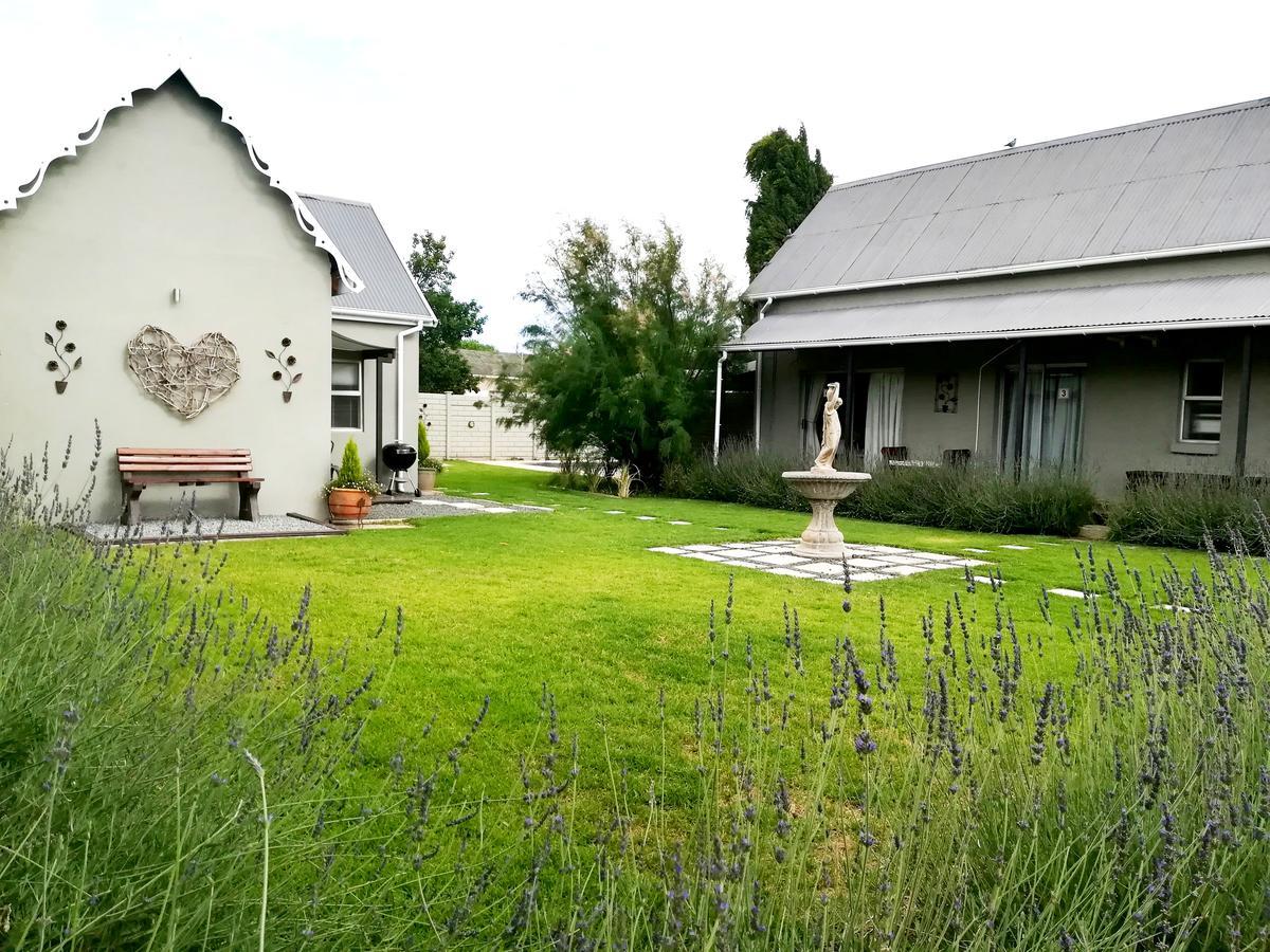 كوينزتاون Tranquil House B&B @ 1 College Ave المظهر الخارجي الصورة